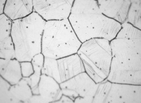 304����ֹ�����Ԥ��������ѵĲ���